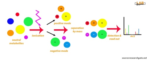 Was sind LC-MS-Systeme? image 3