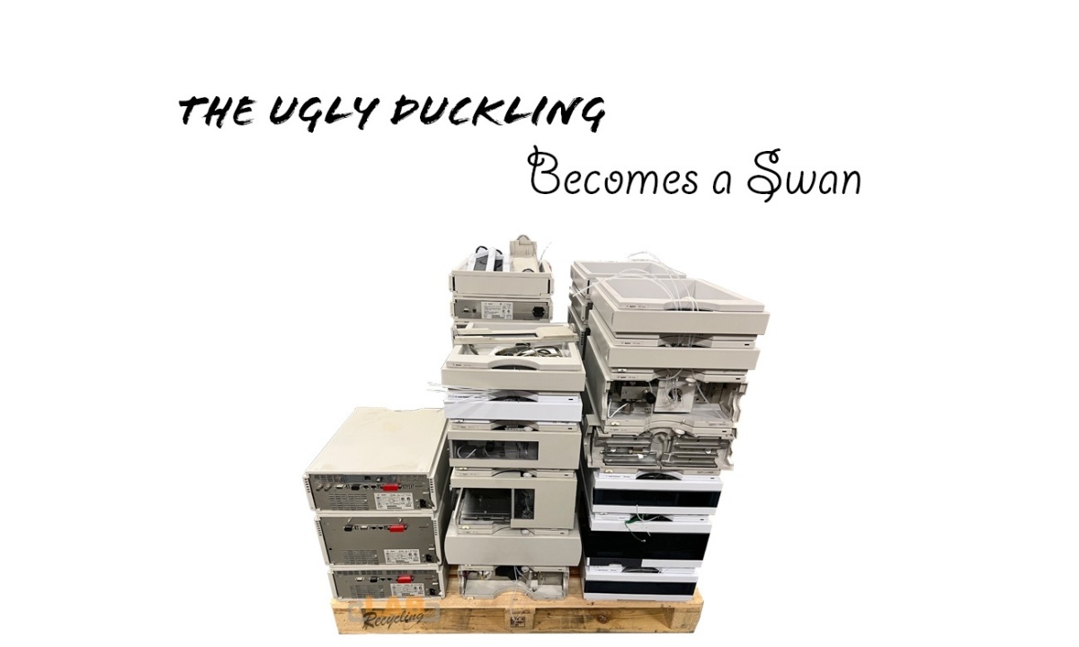 The ugly duckling, becomes a swan & gets a 2nd life